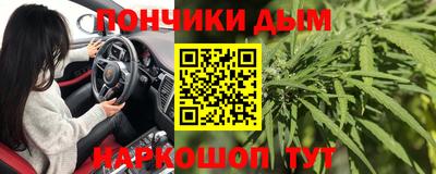 Альфа ПВП Будённовск