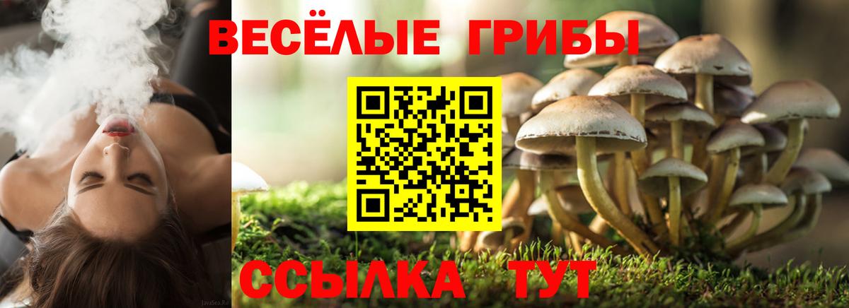 Псилоцибиновые грибы ЛСД Чистополь